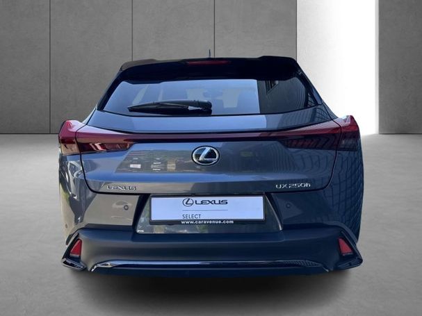 Lexus UX 250h 135 kW image number 11