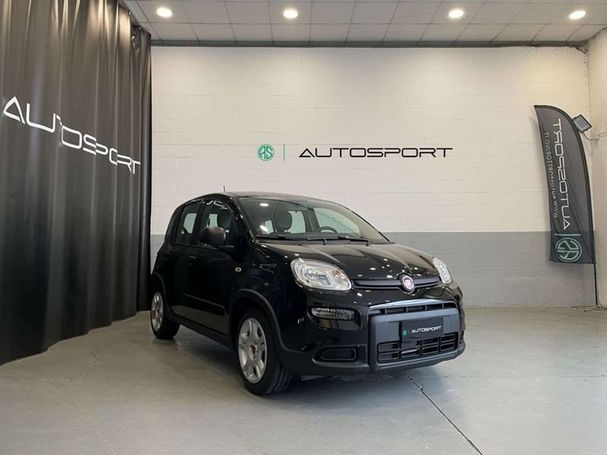 Fiat Panda 1.0 Hybrid 51 kW image number 3