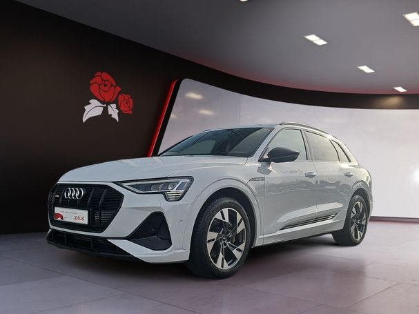 Audi e-tron 55 quattro S-line 300 kW image number 1