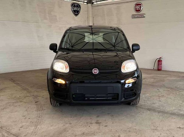 Fiat Panda 1.0 Hybrid 51 kW image number 2