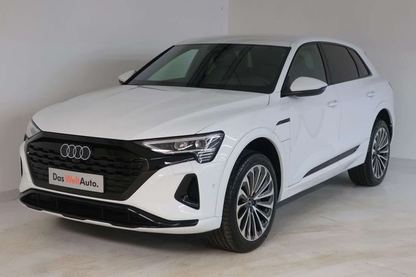 Audi Q8 55 quattro e-tron Business 250 kW image number 1