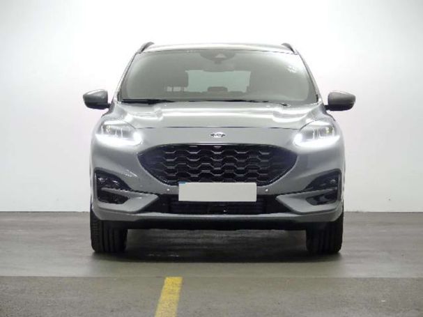 Ford Kuga 166 kW image number 2