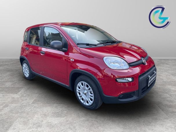 Fiat Panda 51 kW image number 2