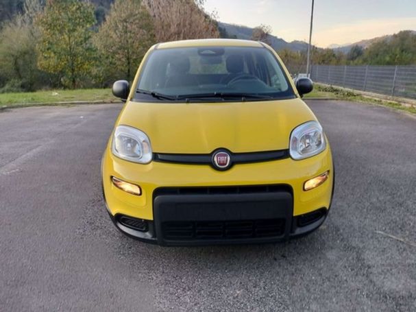 Fiat Panda 51 kW image number 4