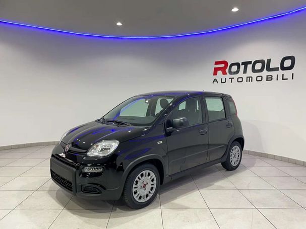 Fiat Panda 51 kW image number 3