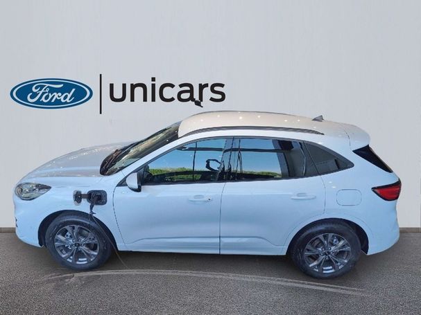 Ford Kuga 165 kW image number 8