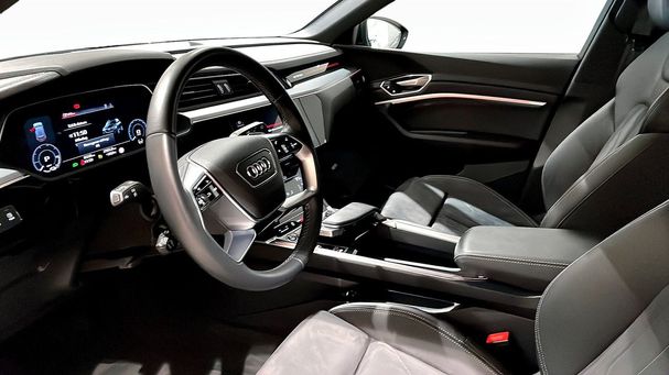 Audi Q8 50 quattro e-tron 253 kW image number 12