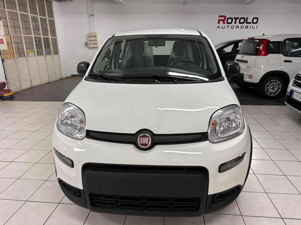 Fiat Panda 1.0 Hybrid 51 kW image number 4