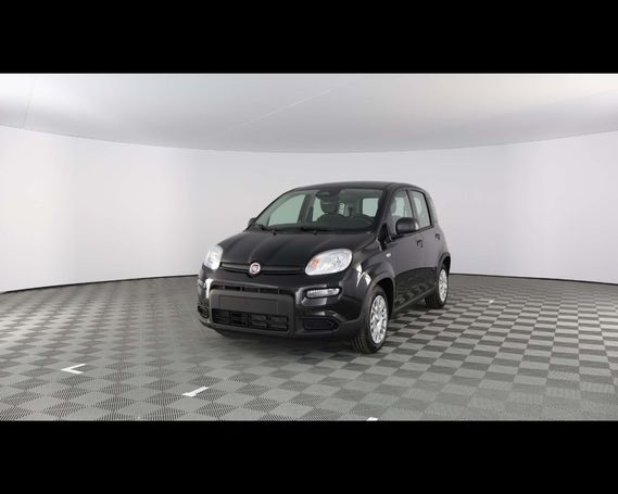 Fiat Panda 51 kW image number 1