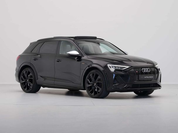 Audi e-tron quattro 230 kW image number 7