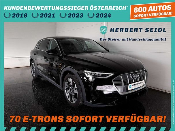 Audi e-tron 50 quattro 230 kW image number 1