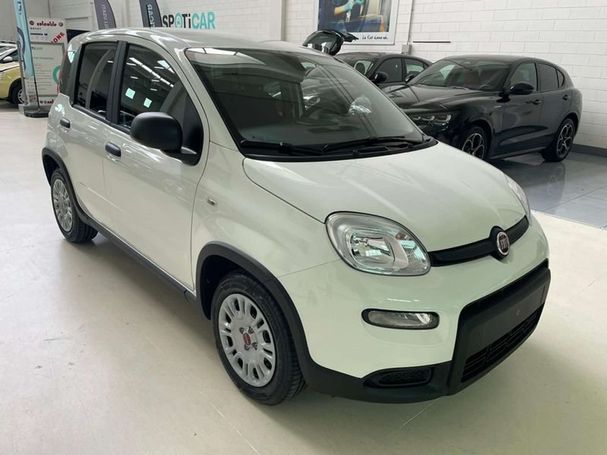 Fiat Panda 1.0 Hybrid 51 kW image number 2