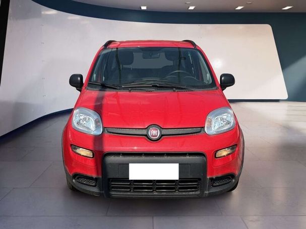 Fiat Panda 1.0 Hybrid City Life 51 kW image number 3