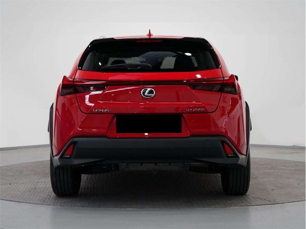 Lexus UX 250h 135 kW image number 3