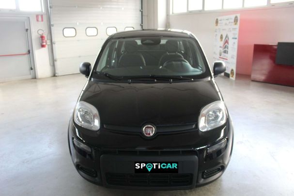 Fiat Panda 51 kW image number 2