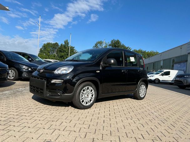 Fiat Panda 51 kW image number 5