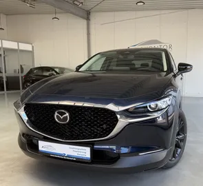 Car image 30