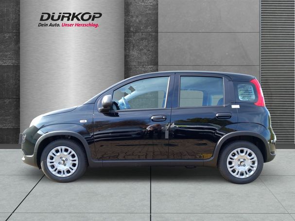 Fiat Panda 51 kW image number 3