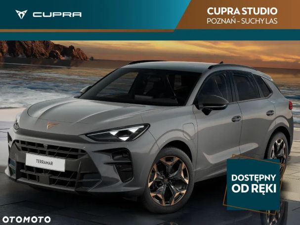 Cupra Terramar 110 kW image number 1