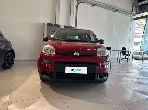 Fiat Panda 51 kW image number 6