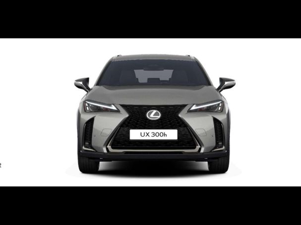 Lexus UX 300h 146 kW image number 6