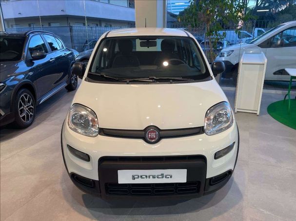 Fiat Panda 51 kW image number 3