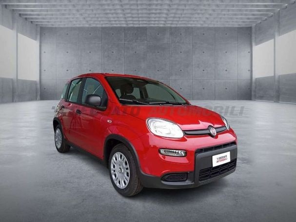 Fiat Panda 51 kW image number 4