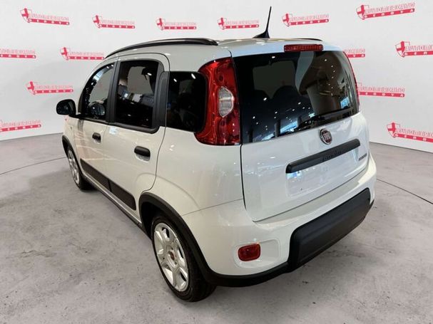 Fiat Panda 1.0 Hybrid 51 kW image number 4