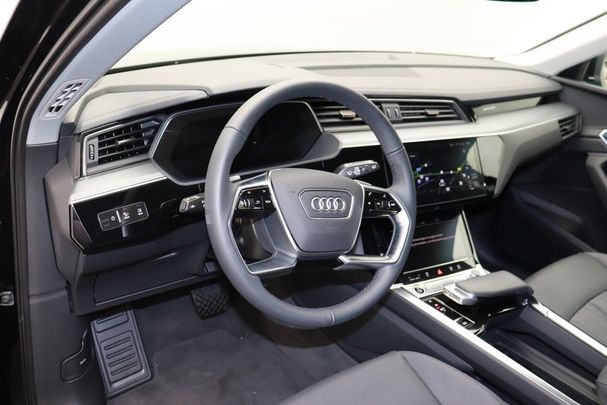 Audi e-tron 50 quattro 230 kW image number 10