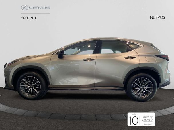 Lexus NX 350 h 178 kW image number 5