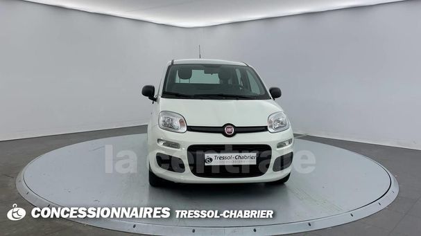 Fiat Panda 1.0 Hybrid City Life 51 kW image number 2