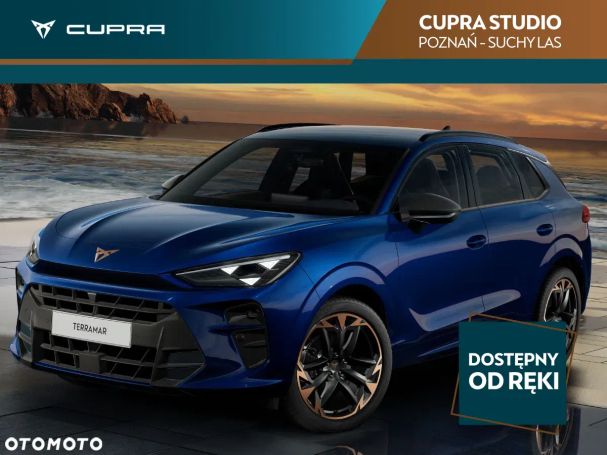 Cupra Terramar 195 kW image number 1