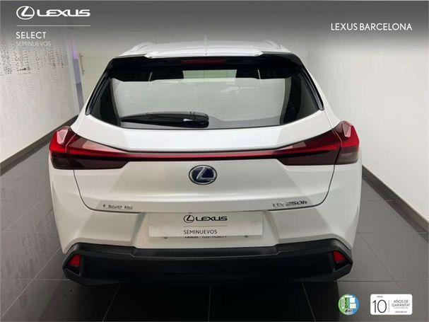 Lexus UX Business 135 kW image number 13