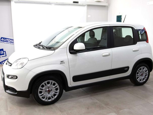 Fiat Panda 1.0 Hybrid 51 kW image number 6