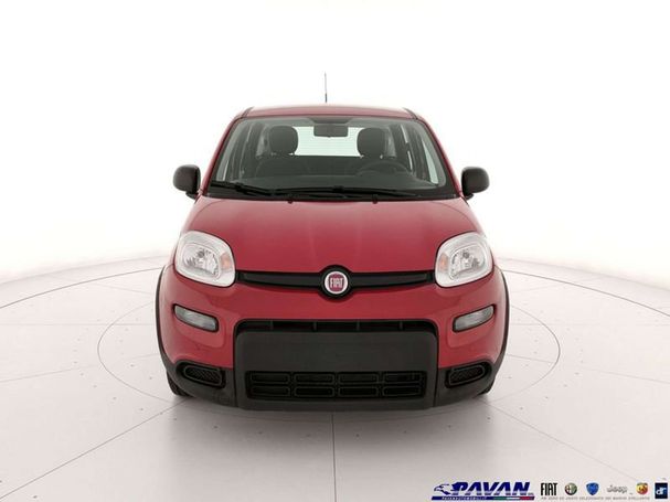 Fiat Panda 1.0 Hybrid 51 kW image number 2