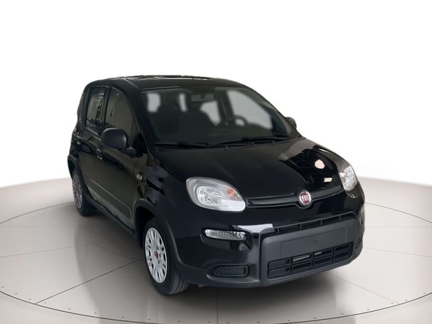 Fiat Panda 1.0 Hybrid 51 kW image number 2