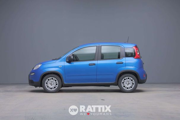 Fiat Panda 51 kW image number 3