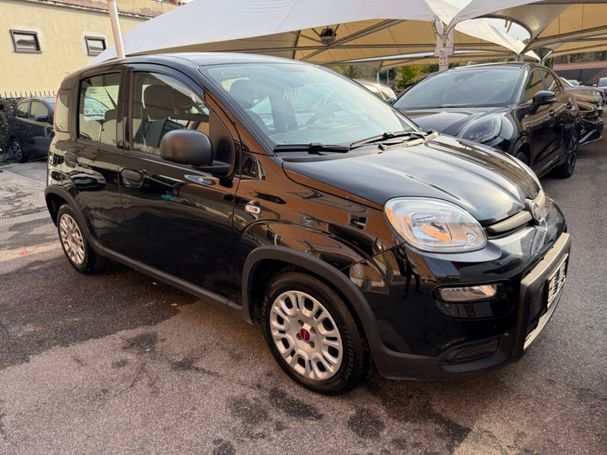 Fiat Panda 1.0 Hybrid 51 kW image number 3