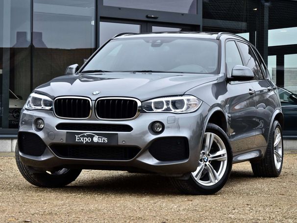 BMW X5 M xDrive 170 kW image number 1