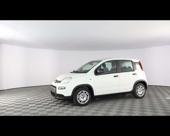 Fiat Panda 51 kW image number 20