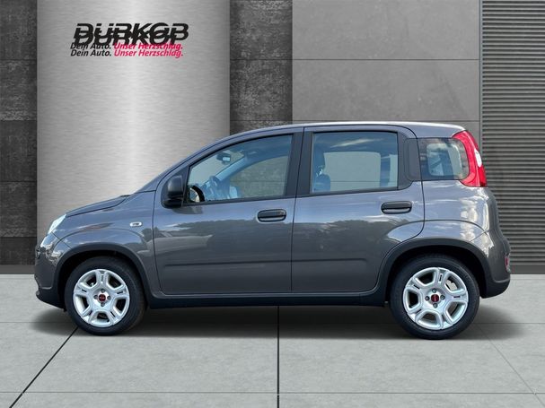 Fiat Panda 1.0 GSE Hybrid 51 kW image number 3