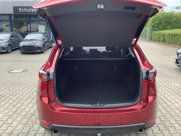 Car image 19