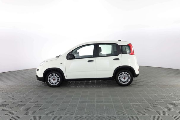 Fiat Panda 1.0 Hybrid 51 kW image number 6