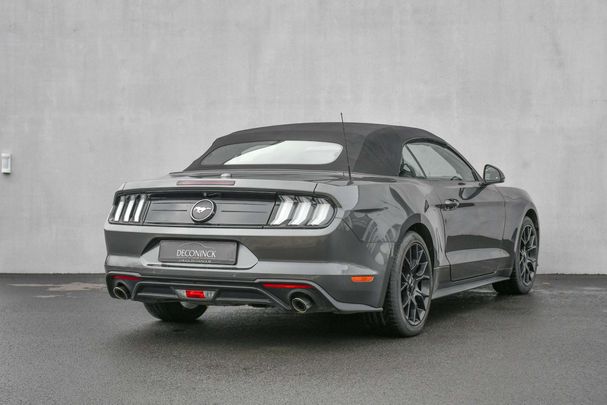 Ford Mustang Convertible 2.3 EcoBoost 213 kW image number 9