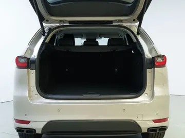 Car image 30