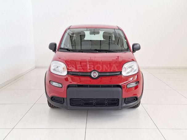 Fiat Panda 51 kW image number 2