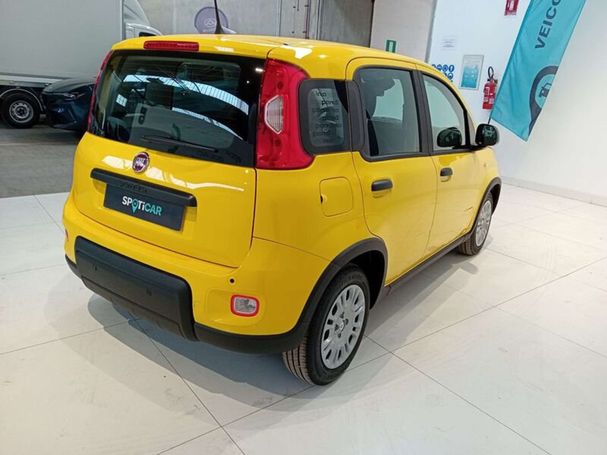 Fiat Panda 51 kW image number 4