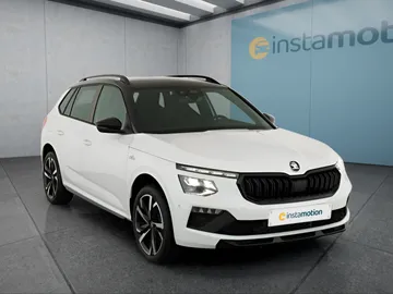 Car image 30