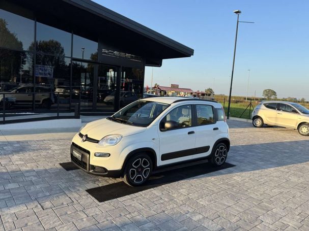 Fiat Panda 1.0 Hybrid City Life 51 kW image number 1