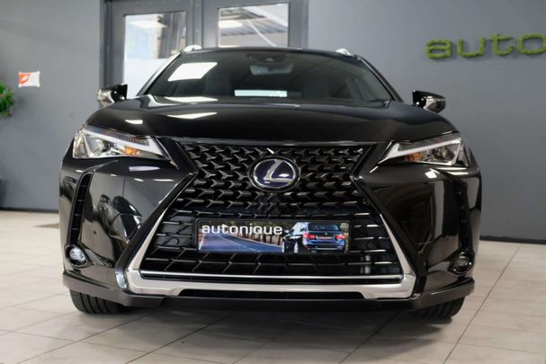 Lexus UX 250h Executive Line 135 kW image number 23